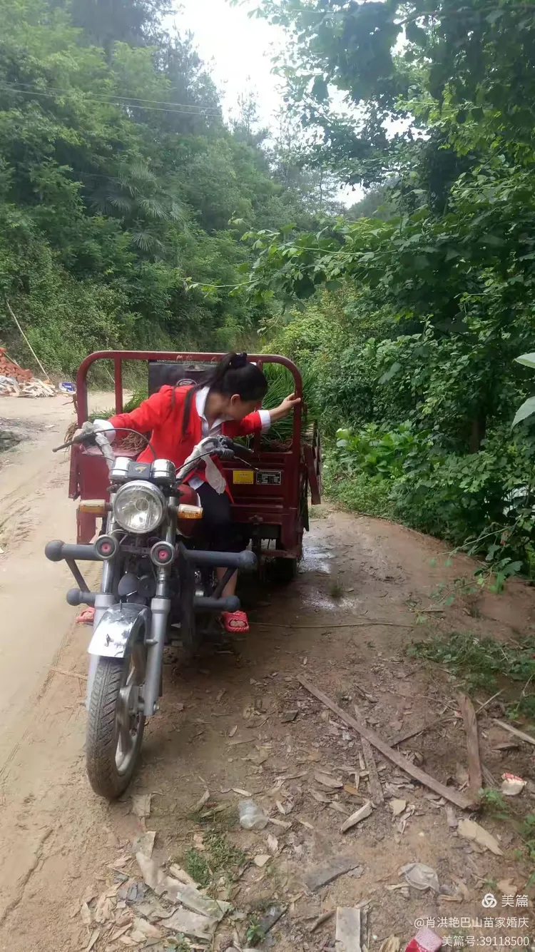 点滴人生路…身处大巴山，每天都面临崇高俊峰…跨越无数条奇曲的山路，带着无比沉重思念继续前行！！！